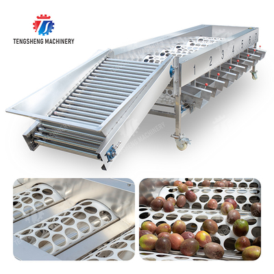 Üretim İşleme Denetleme Sınıflandırma Meyve Sebze Soğan Saiko hurması Elma Patates mandalina çarkıfelek avokado kiraz Mango armut muz mangostan kivi Meyve Ayıklama Makinesi