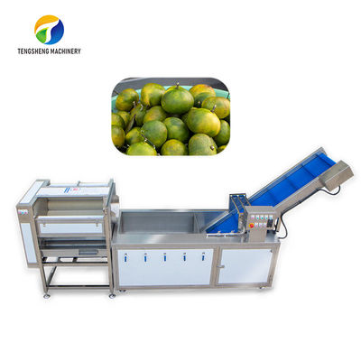 Toz Ovma Ayırma Meyve Üretim Hattı Kabarcık Kontrollü Ananas Sebze Temizleme