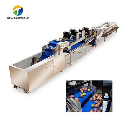 Tengsheng Yüksek Gerilim Püskürtme Meyve ve Sebze İşleme Hattı Endüstriyel artık bozunma