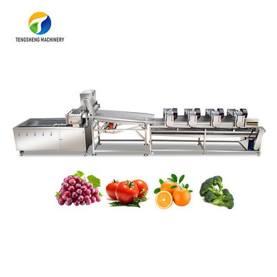 4.5KW Meyve ve Sebze İşleme Hattı Titreşimli Tahliye Ekipmanları