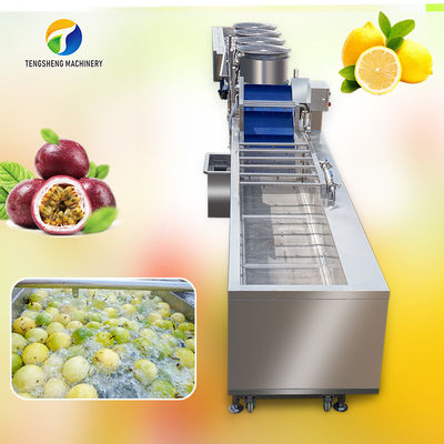 Tutku Meyvesi Kabarcık Temizleme ve Kurutma Ayırma Üretim Hattı