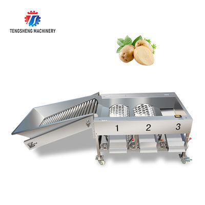 150KG 380V Lemon screening and grading machine stainless steel fruit sorting machine citrus fruit sorting machine
