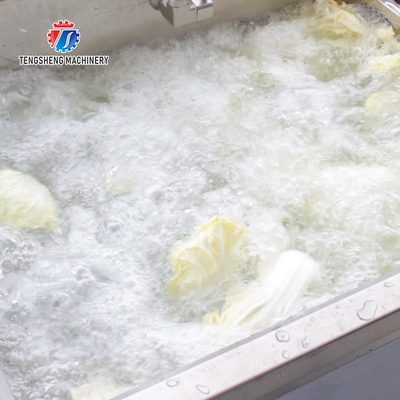 85KG Fruit and vegetable cleaning equipment Spinach washing machine small vegetable washing machine vegetable leaf clean